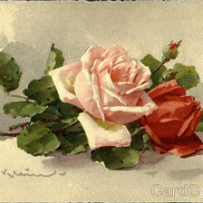 Схема вышивки «№188542»