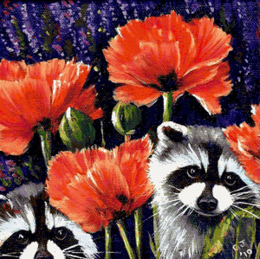 Еноты в маках - ено, живопись, маки, мак, цветы, природа, животные, еноты - предпросмотр