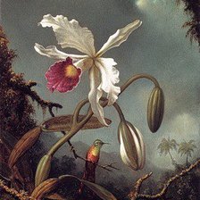 Оригинал схемы вышивки «Орхидея и колибри» (№188681)