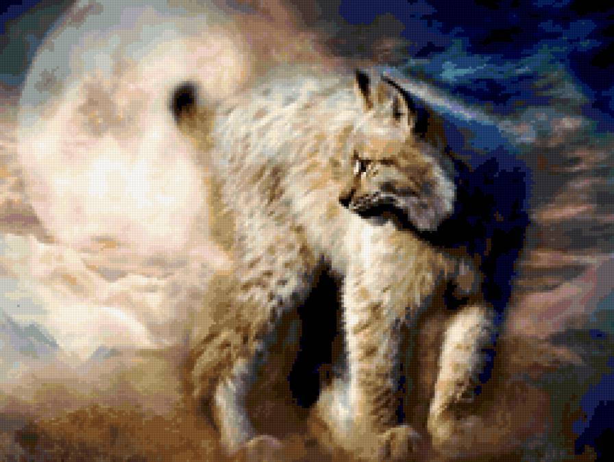 рысь - животные, хищники, рысь - предпросмотр