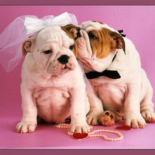 Схема вышивки «молодожены»