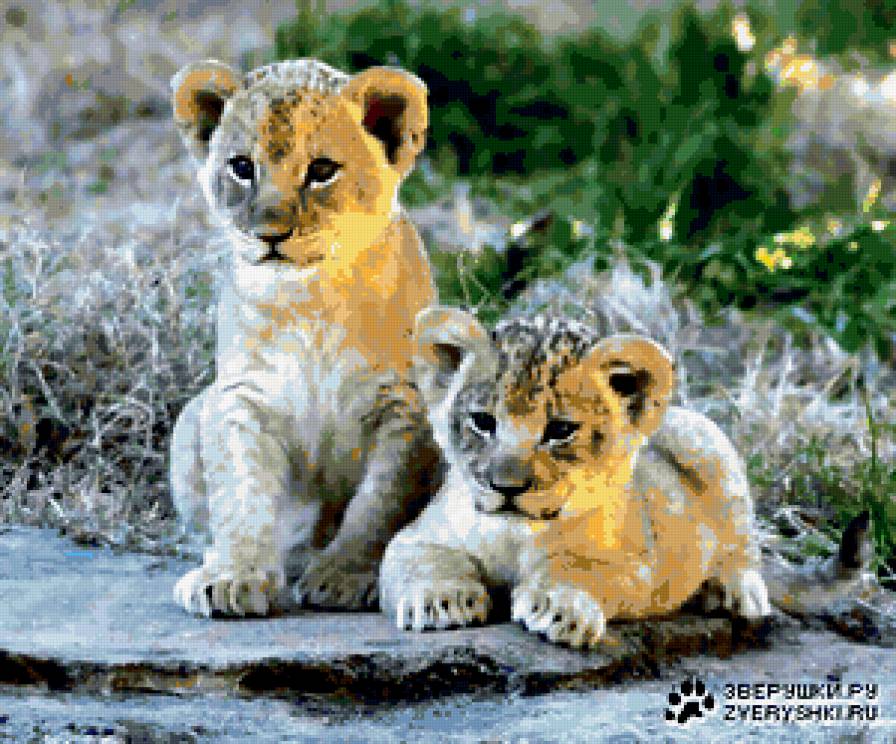 Малыши - львята - предпросмотр