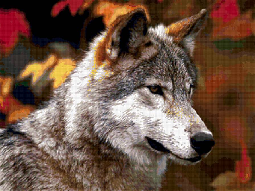 Волчица - волчица - предпросмотр