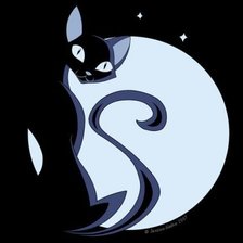 Черная кошка в лунном свете. На подушку.