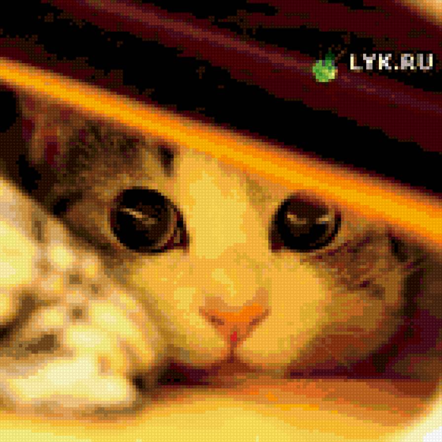 А я тебя  вижу! На подушку. - кошка, животные, кот, картинка, подушка, юмор - предпросмотр