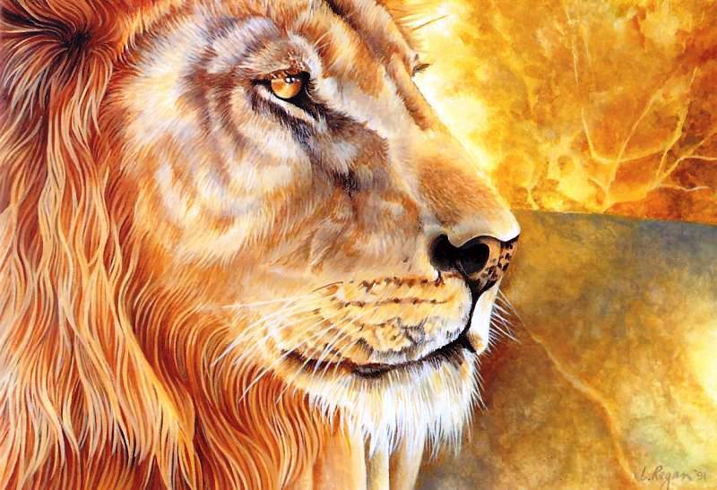 Царь зверей - животные, большие кошки, картина - оригинал