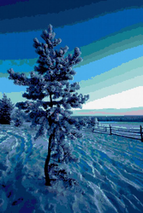 зима - зима, безмолвие, снег, сосна, мороз - предпросмотр
