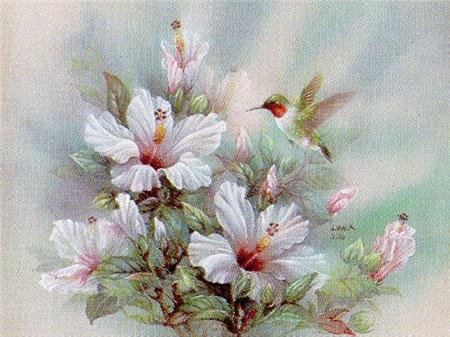 калибри - цветы - оригинал