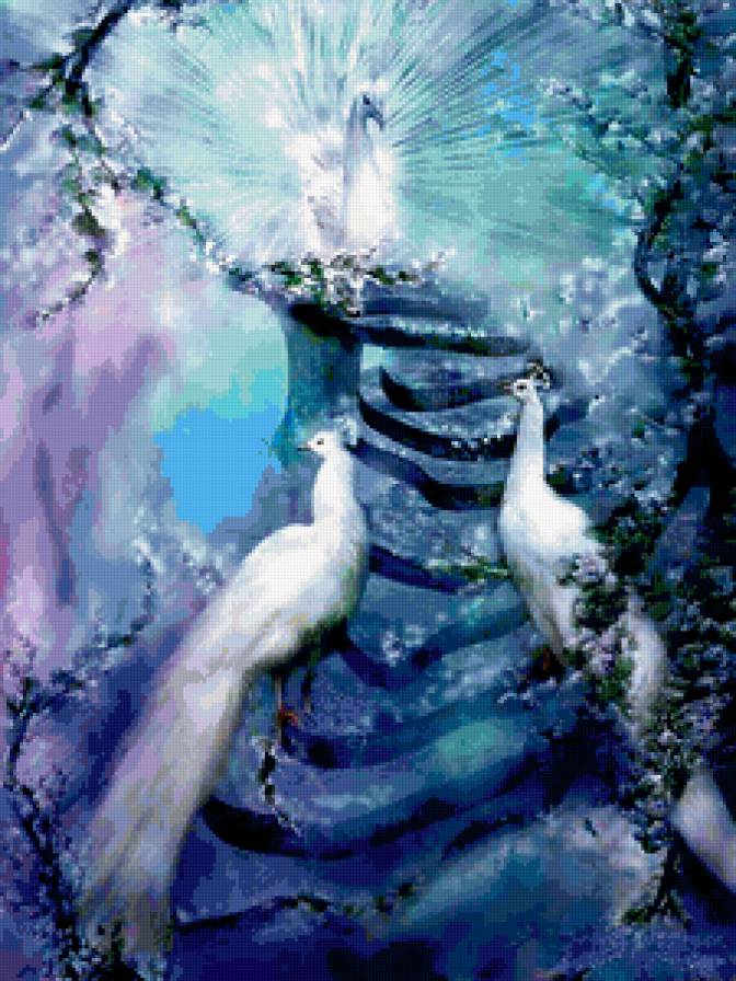 белый павлин - большие, сказочные, павлины, райский, птицы, белые - предпросмотр