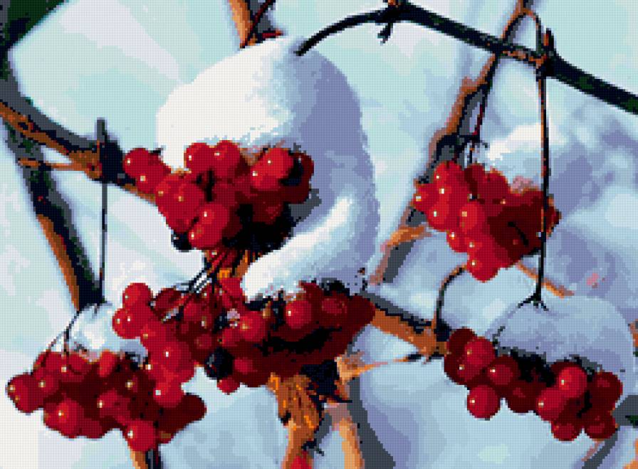 калина - ягоды, калина, снег, зима - предпросмотр