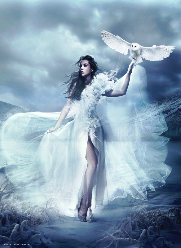 девушка и филин - сова, волшебница, в белом, магия, девушка, белый - оригинал