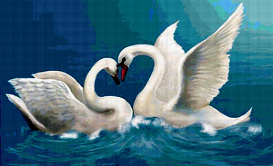 пара лебедей - озеро, природа, птицы - предпросмотр