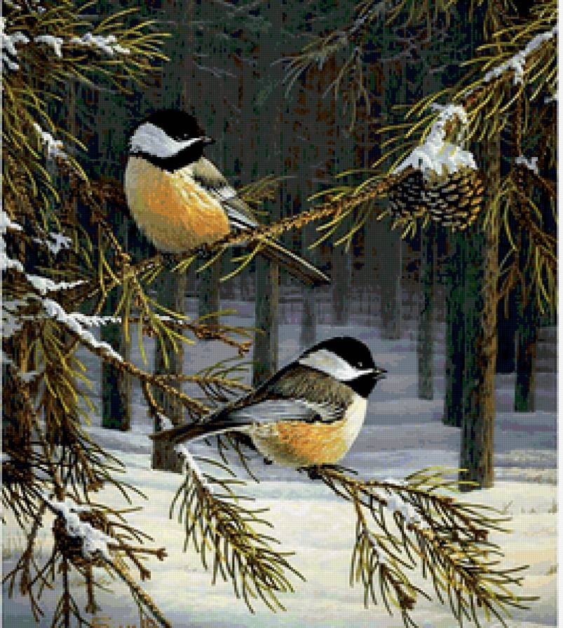 птички зимой - зима, птицы, пейзаж, природа - предпросмотр