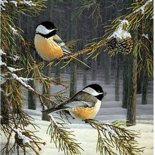 Оригинал схемы вышивки «птички зимой» (№189645)