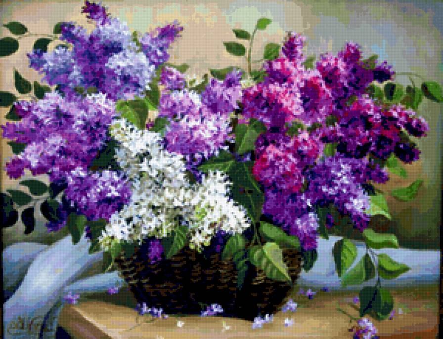 Сирень - сирень, букетик, весенние цве, букет, душистая сирень, красивый букет - предпросмотр