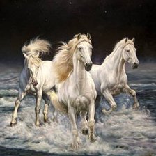 три белых коня