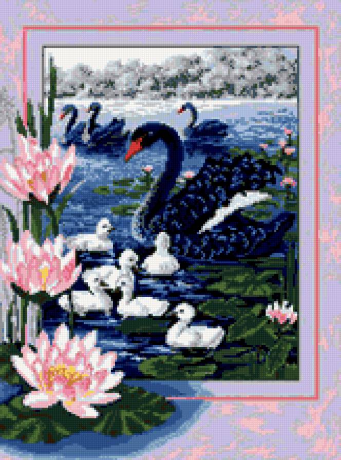 Black swan - предпросмотр