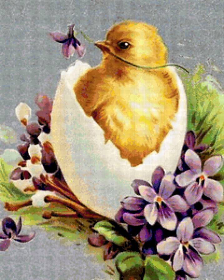 Весенний новорожденный - цыпленок, пасха, фиалки, яичко, новорожденный - предпросмотр