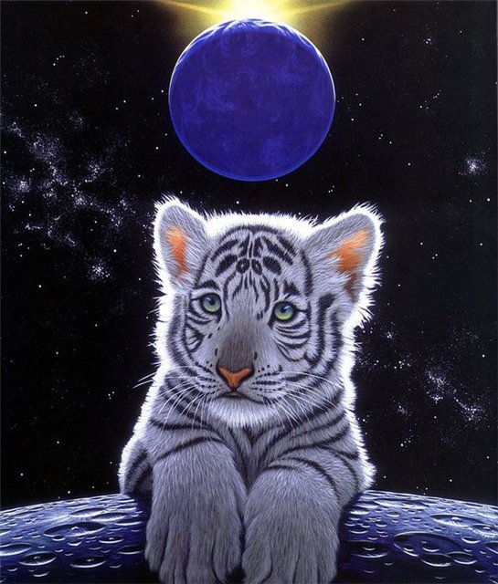 тигренок - животные, детское, тигры - оригинал