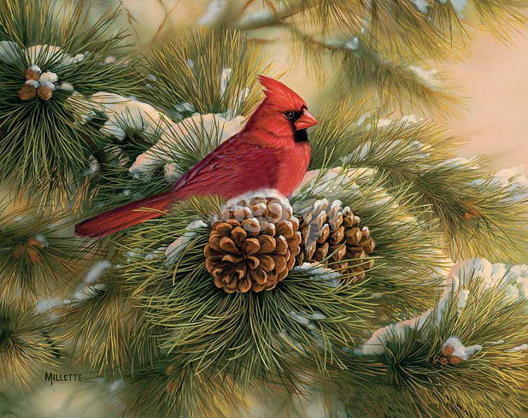 №189969 - животные, птицы, пейзаж - оригинал