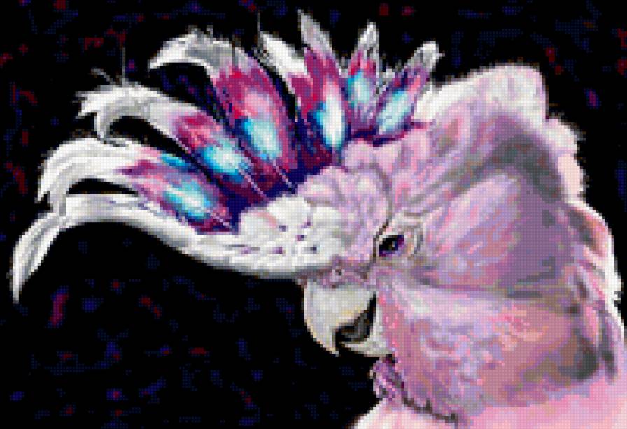 попугай - предпросмотр