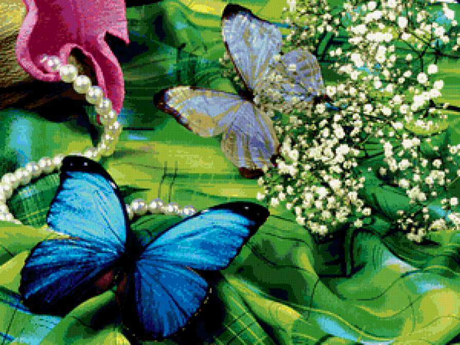 бабочка - литает красиво - предпросмотр