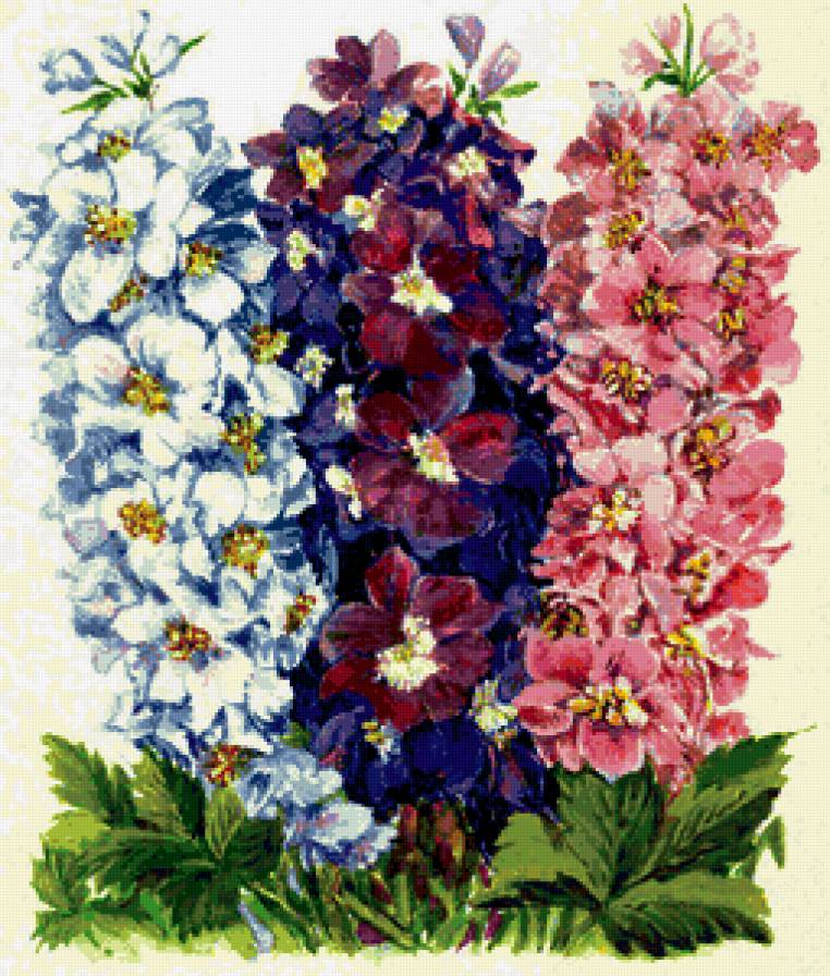 Дельфиниум - живопись, цветы - предпросмотр