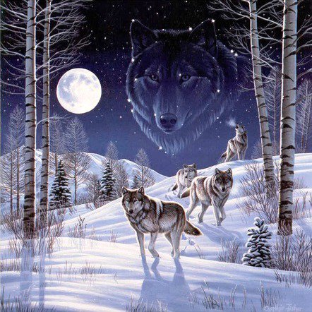 №190223 - оригинал