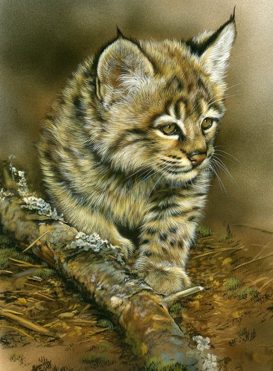 №190242 - оригинал