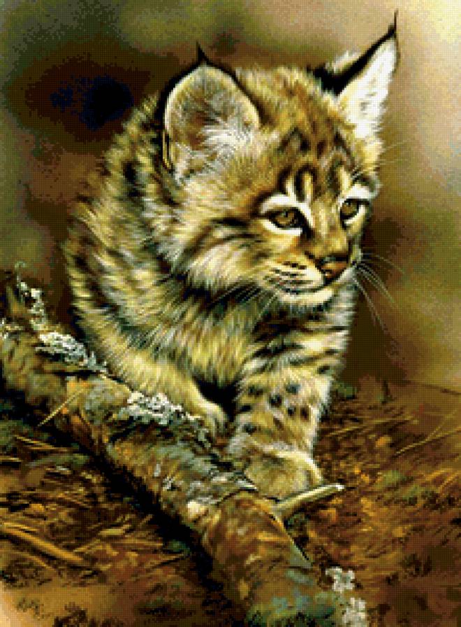 №190242 - предпросмотр