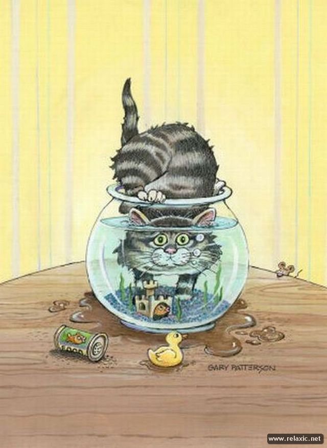 И что теперь? - паттерсон, кот - оригинал