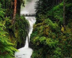 водопад в лесу - деревья, водопад, мост, лес - оригинал