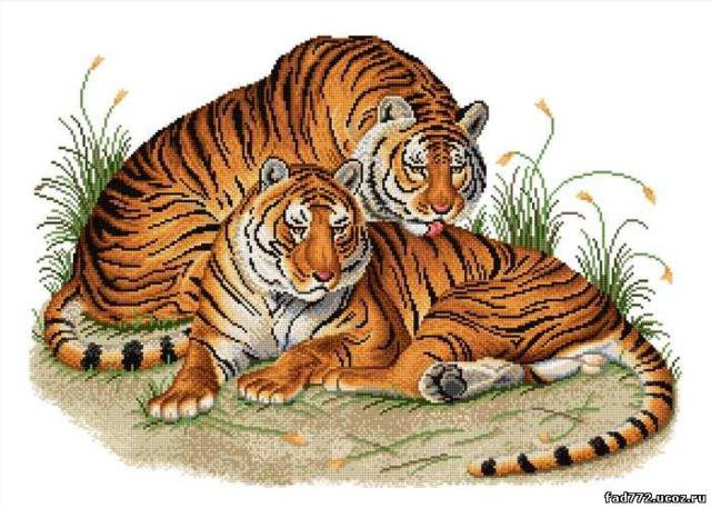 Тигры - картина, тигры, природа - оригинал