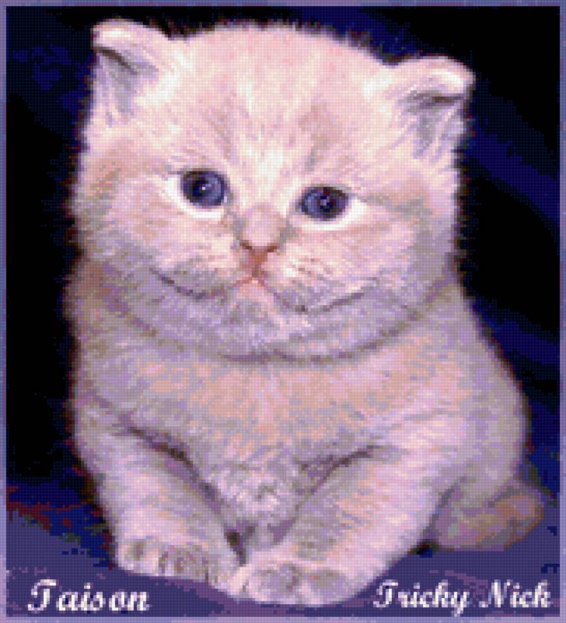 №190594 - предпросмотр