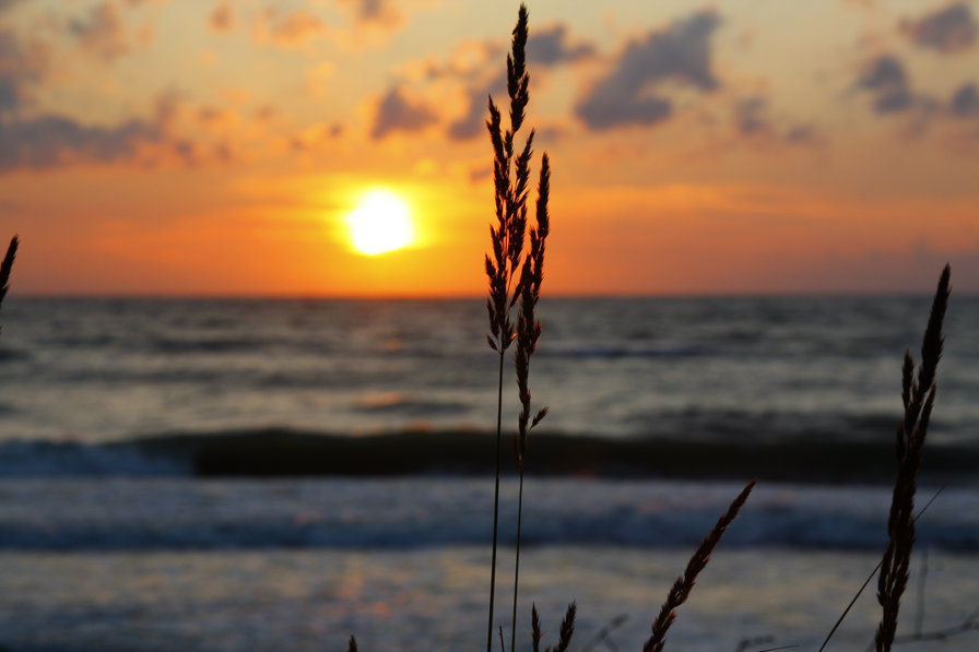 Закат - море, закат, солнце - оригинал