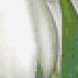 Предпросмотр схемы вышивки «Белые тюльпаны» (№190834)
