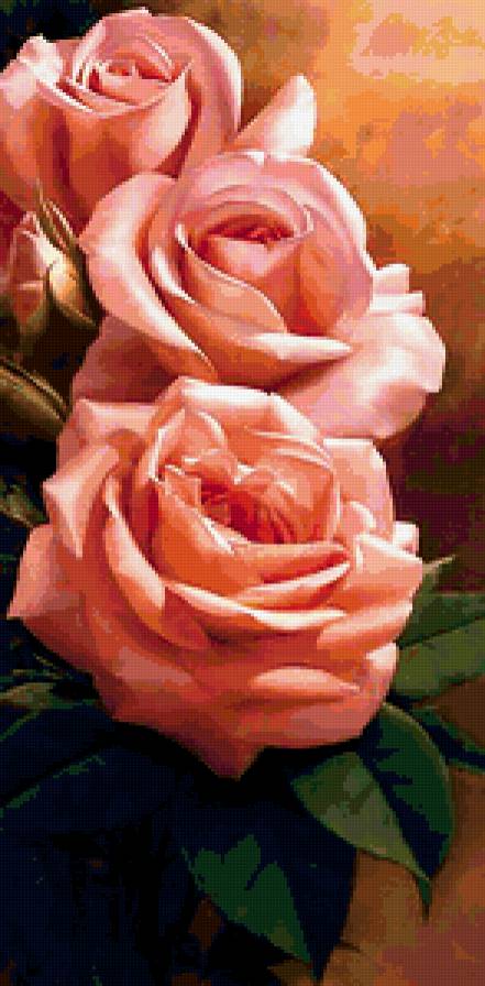 Розы - розы - предпросмотр