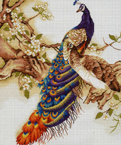пара - птицы, цветы, павлины - оригинал