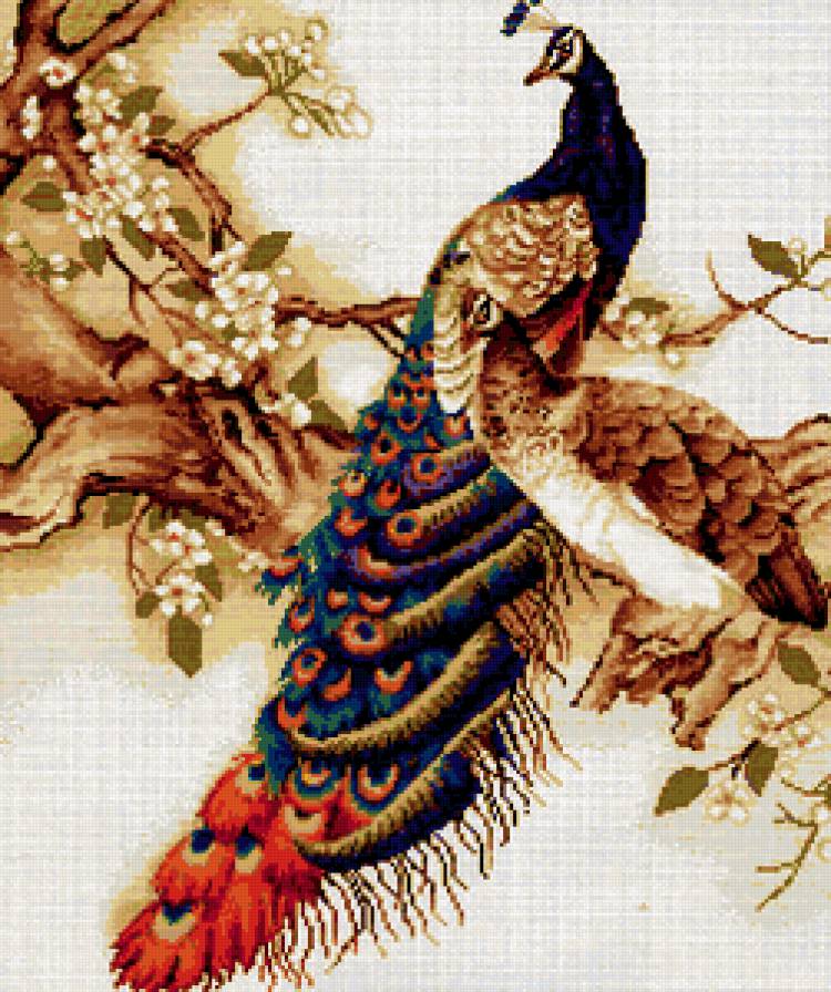 пара - птицы, цветы, павлины - предпросмотр