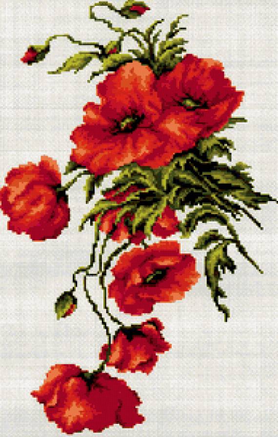 пано - цветы, пано, маки - предпросмотр