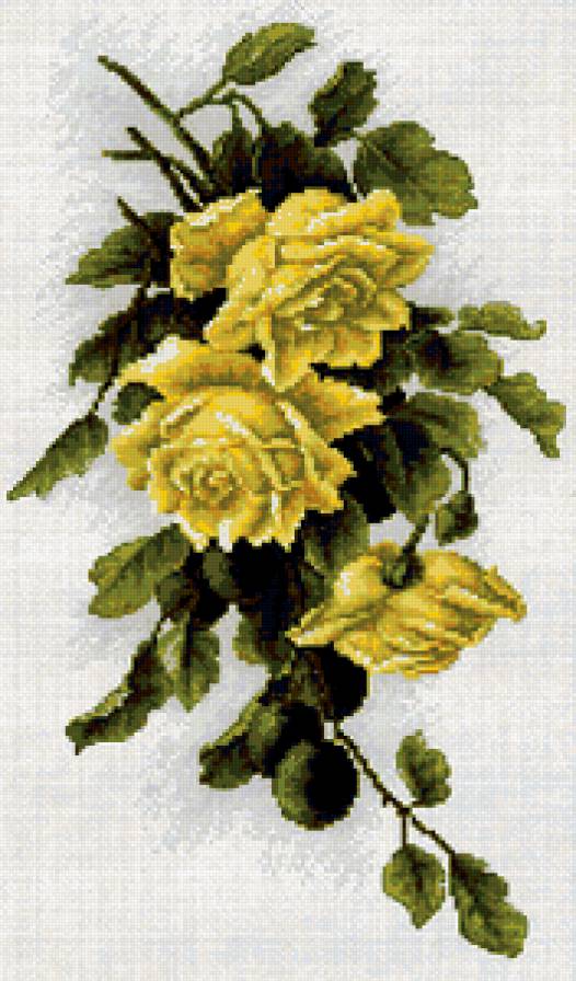 пано - цветы, розы - предпросмотр