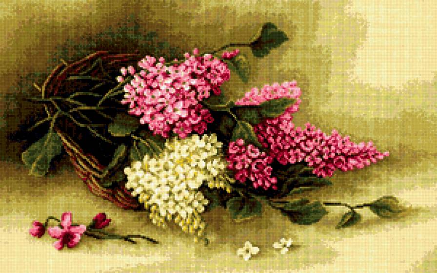 №191437 - цветы, корзина, сирень - предпросмотр