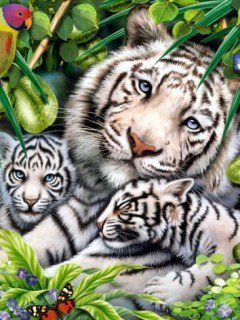 Семья - животные, тигры - оригинал