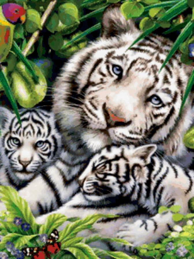 Семья - животные, тигры - предпросмотр