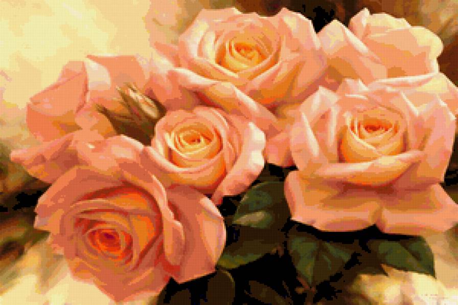 букет роз - цветы - предпросмотр