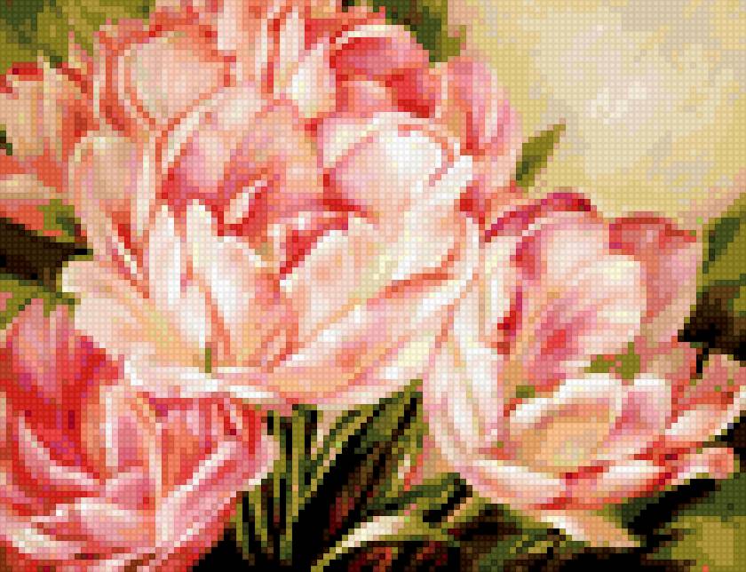 Тюльпаны - цветы тюльпаны - предпросмотр