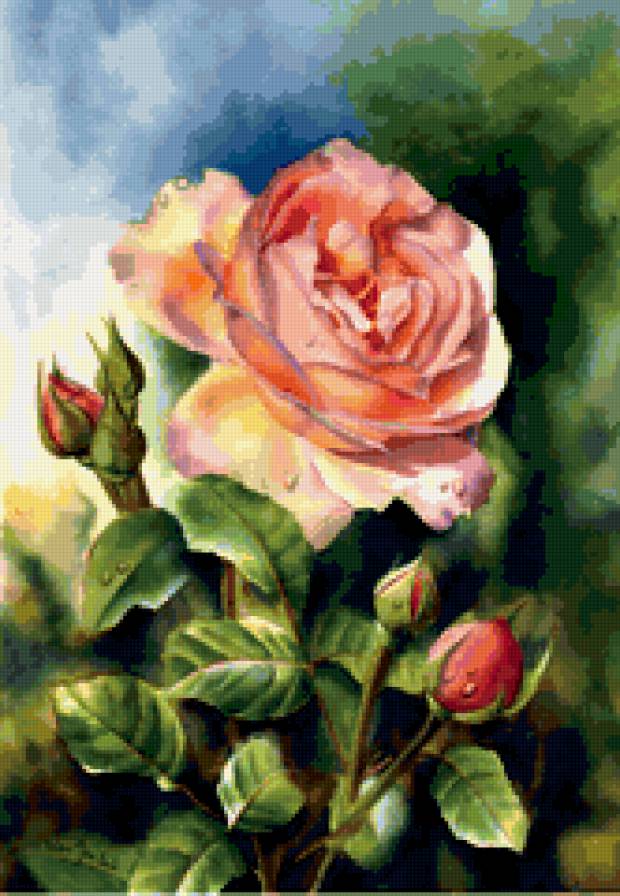 розы - природа, , романтика, букет, цветы, натюрморт - предпросмотр