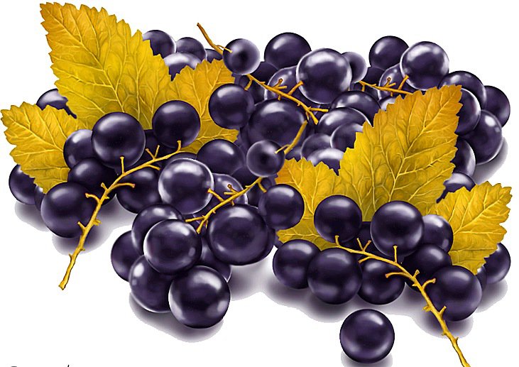 Черная смородина - смородина - оригинал