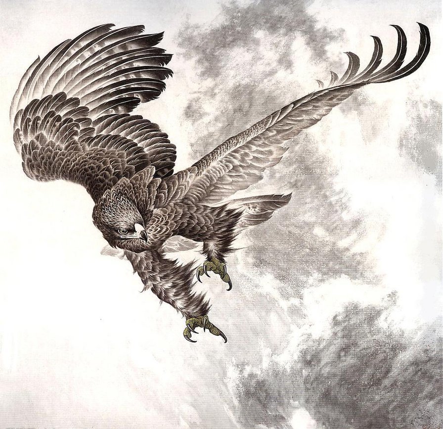 орел - большие птицы, орлы, охота, хищные, полет - оригинал
