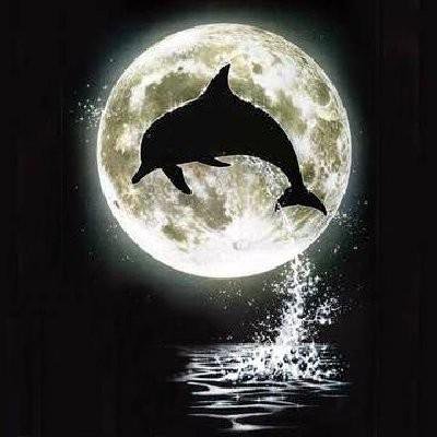 Дельфин и луна - картина, море, дельфин, луна, ночь - оригинал
